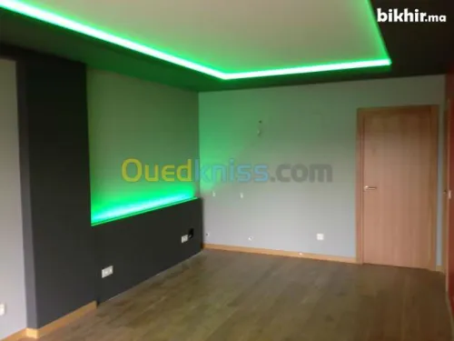 POSE PLACO PLATRE ET FAUX PLAFOND