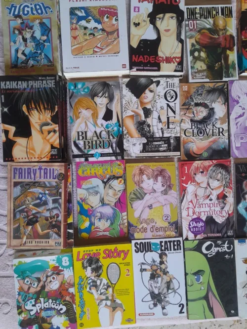 Lot de Mangas