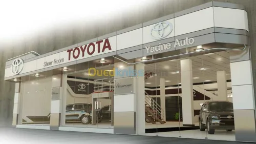 etudes suivi et conseil 