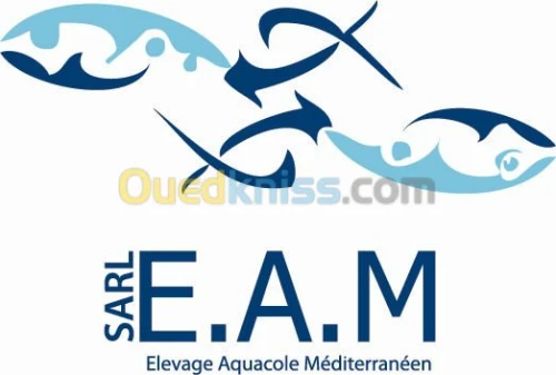 LOCATION D'UNE BARGE (TRAv - MARIt) 