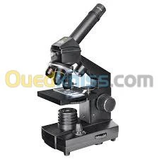 microscope antique et pro