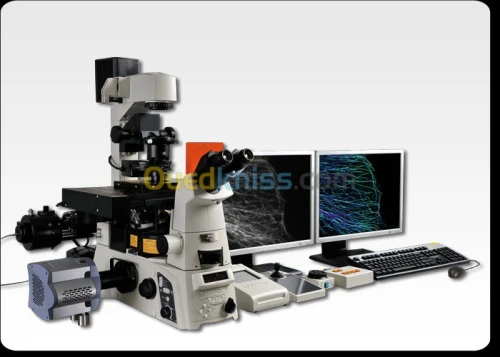 microscope antique et pro