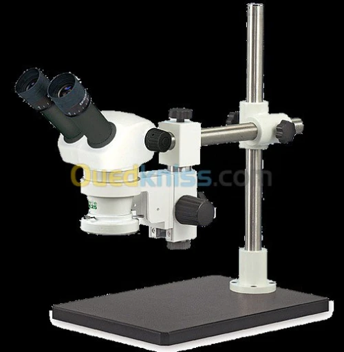 microscope antique et pro