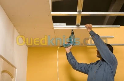 decorateur faux plafond  et separateur