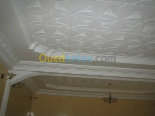 decorateur faux plafond  et separateur