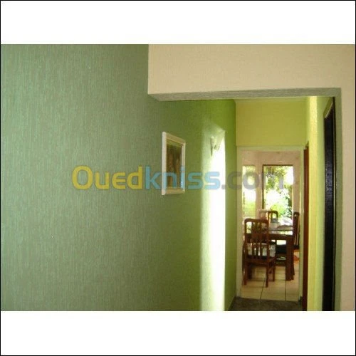 travaux de façades & decoration