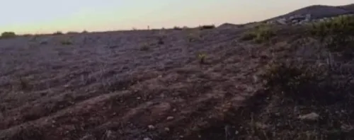 Vente Terrain Tlemcen Dar yaghmouracene