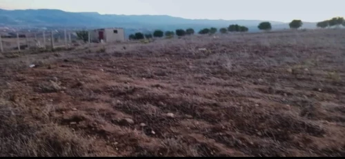 Vente Terrain Tlemcen Dar yaghmouracene