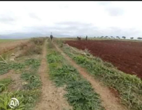 Vente Terrain Tlemcen Dar yaghmouracene
