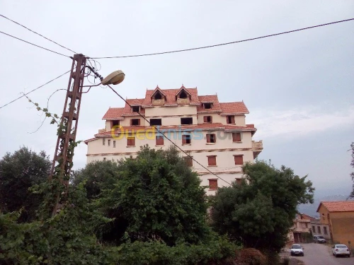 charpente en bois + grenier habitable