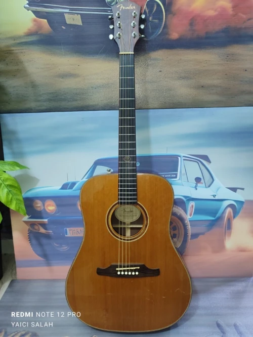 6-Belles guitares acoustiques