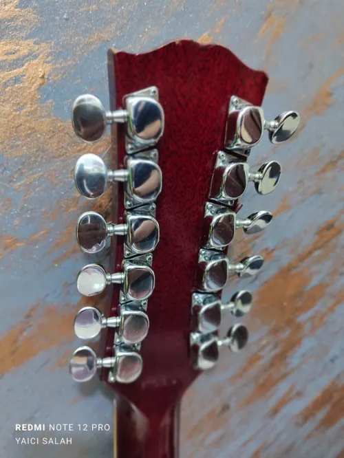 5 Guitares 12 cordes à vendre.