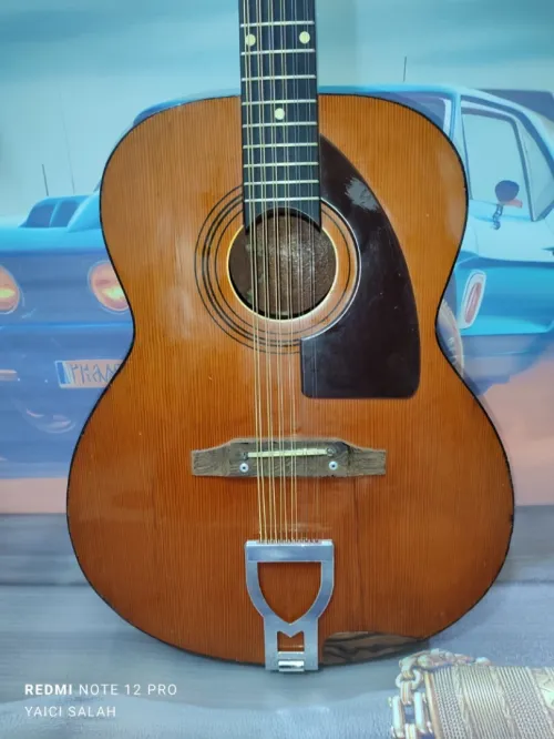 5 Guitares 12 cordes à vendre.