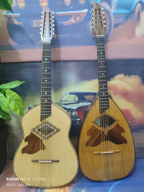 Mondole 10 cordes 1/4 Ton & 8 cordes CHAFA professionnelles