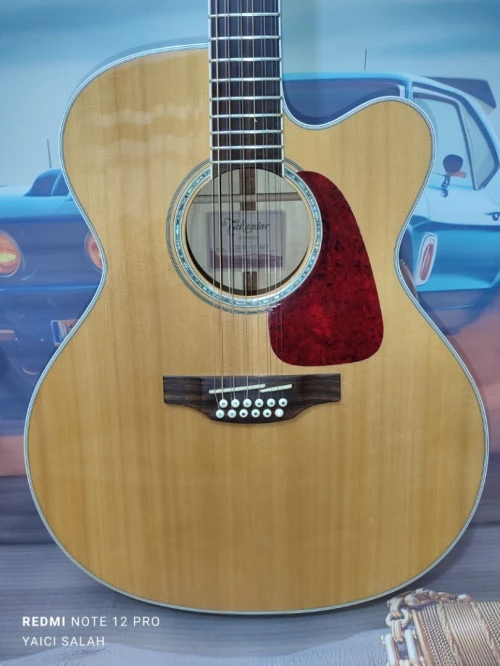 5 Guitares 12 cordes à vendre.