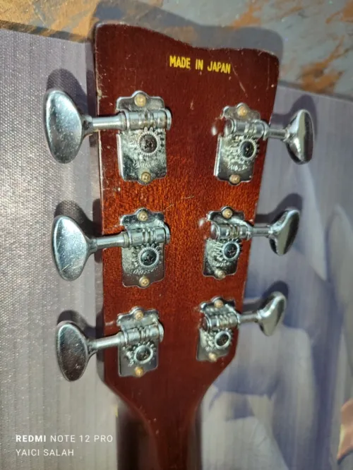 6-Belles guitares acoustiques