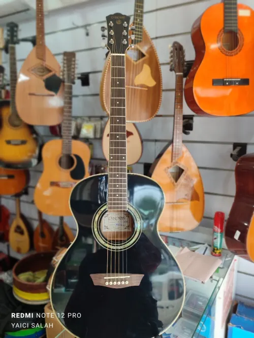 6-Belles guitares acoustiques