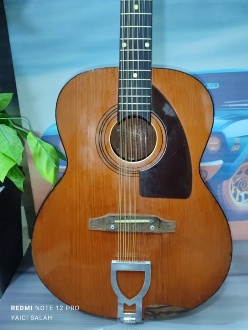 5 Guitares 12 cordes à vendre.