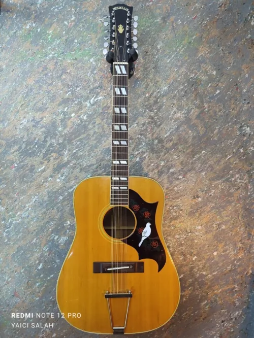 5 Guitares 12 cordes à vendre.