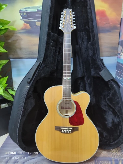 5 Guitares 12 cordes à vendre.