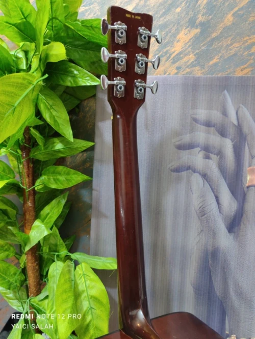 6-Belles guitares acoustiques