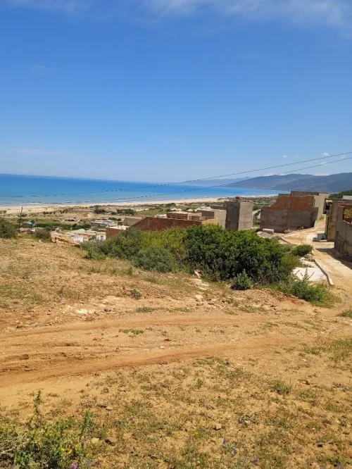 Vente Terrain Mostaganem Achaacha