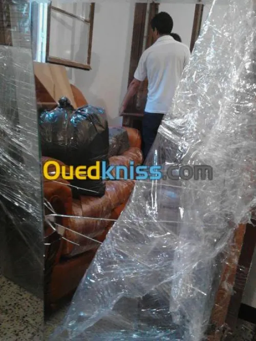 +DEMENAGEMENT-TRANSPORT &MANUTENTIONS 