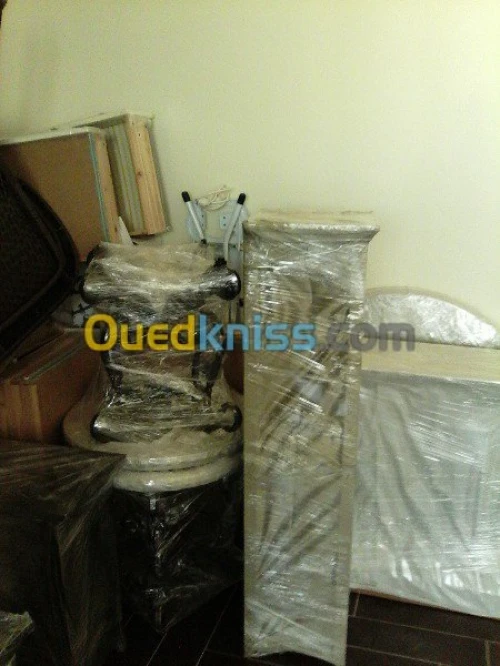 DEMENAGEMENT/TRANSPORT /MANUTENTIONS