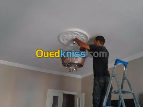 DEMENAGEMENT PARTICULIER/ MANUTENTIO>>