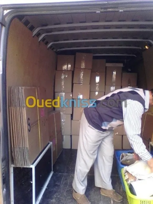 DEMENAGEMENT PARTICULIER/ MANUTENTIO>>