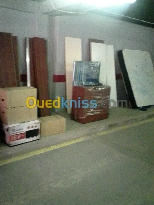 DEMENAGEMENT PARTICULIER/ MANUTENTIO>>