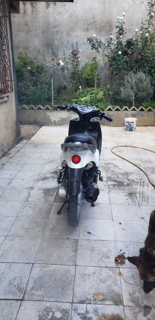 Pepe 50cc Benelli 2013