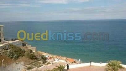 Vente Immeuble Alger Ain taya