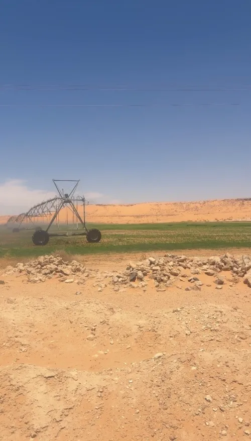 Vente Terrain Agricole Touggourt El Alia