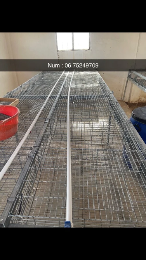 Cage pour lapin 
