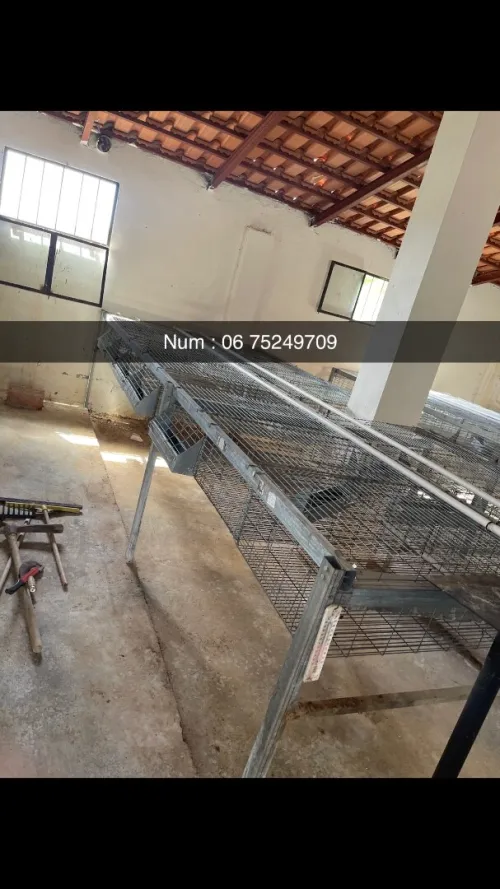 Cage pour lapin 
