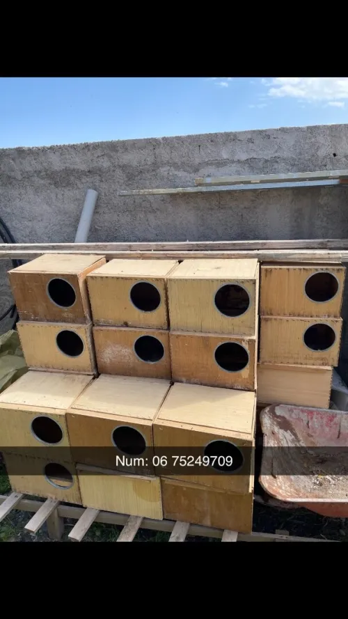 Cage pour lapin 