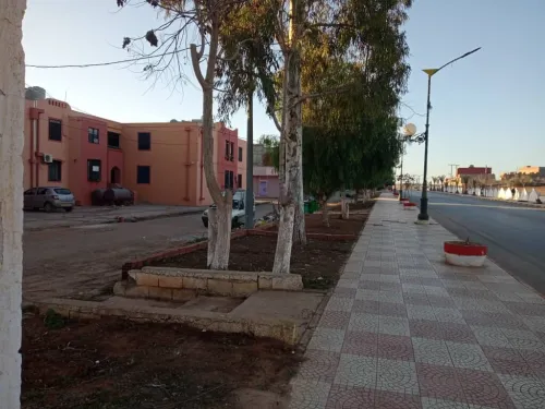 Vente Appartement Tlemcen Souani