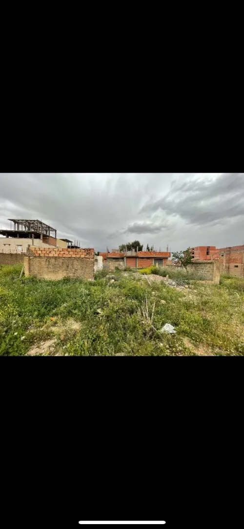 Vente Terrain Tiaret Tiaret