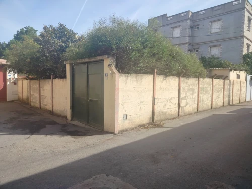 Vente Terrain Alger Dar el beida