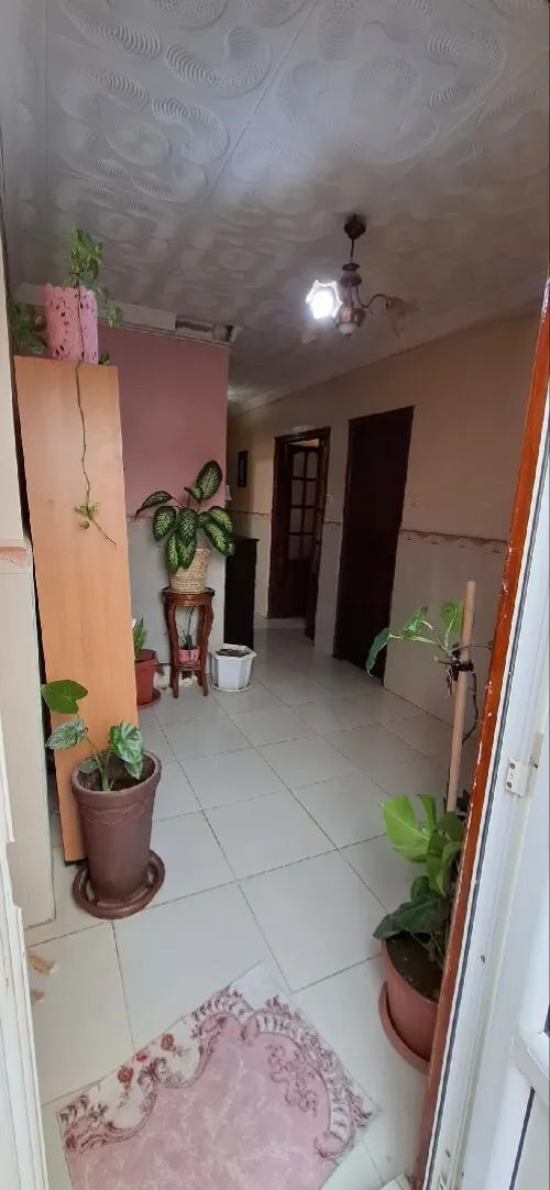 Vente Appartement Duplex F6 Boumerdès Boumerdes