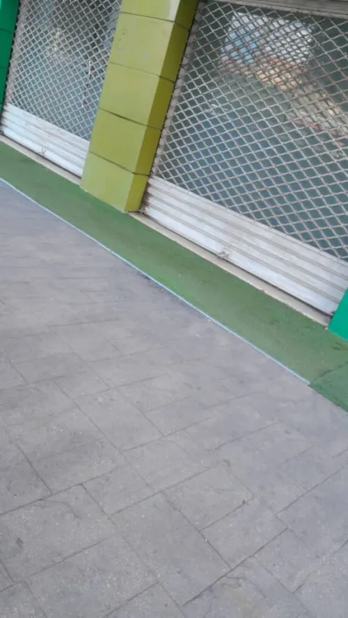 Location Local Alger Zeralda