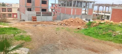 Vente Terrain Tipaza Khemisti