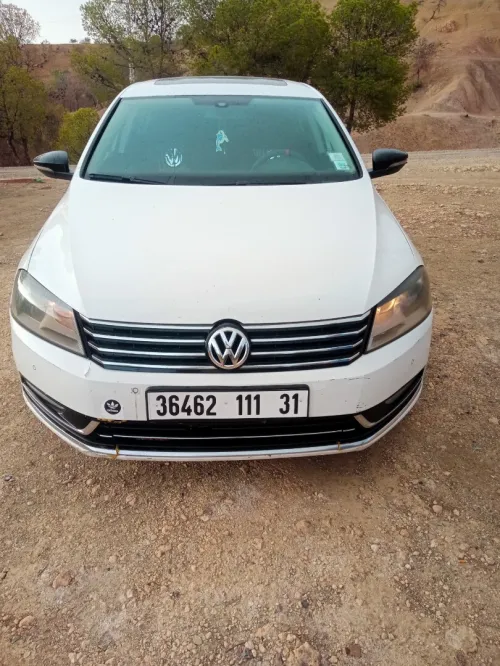 Volkswagen Passat 2011 Carrat