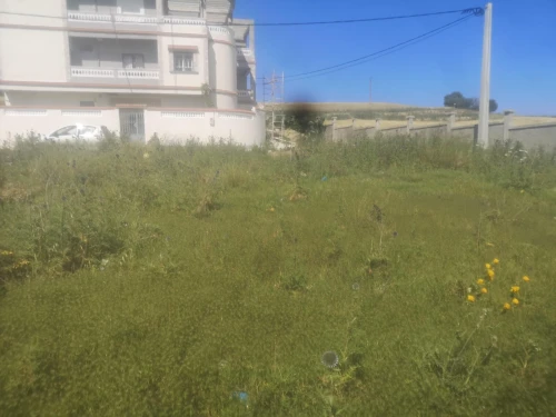 Vente Terrain Guelma El fedjoudj