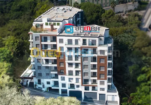 Vente Appartement F3 Alger Birkhadem
