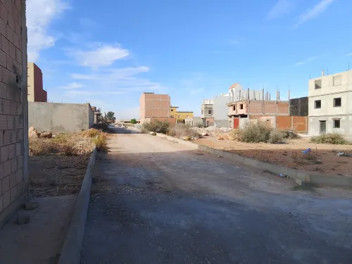 Vente Terrain Tlemcen Zenata