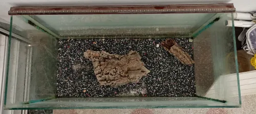 Aquarium