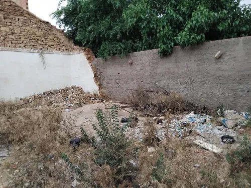 Vente Terrain Tiaret Sougueur
