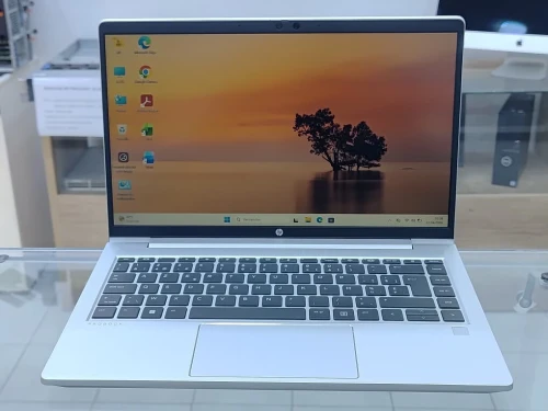 HP PROEBOOK 445 G9 CPU RYZEN 5 PRO 5625U / RAM 16GB / DISQUE DUR 512GB SSD / AMD RADEON GRAPHICS